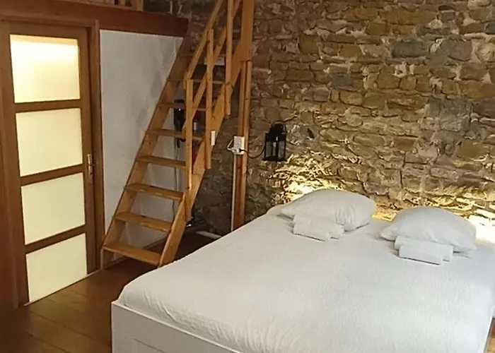 歌剧小屋公寓 里昂