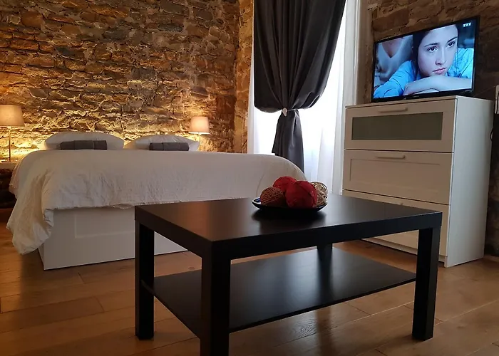 歌剧小屋公寓 里昂